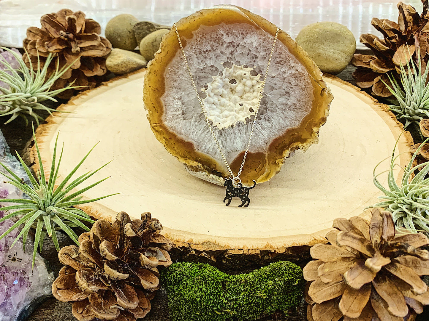 Starry Night Black Cat