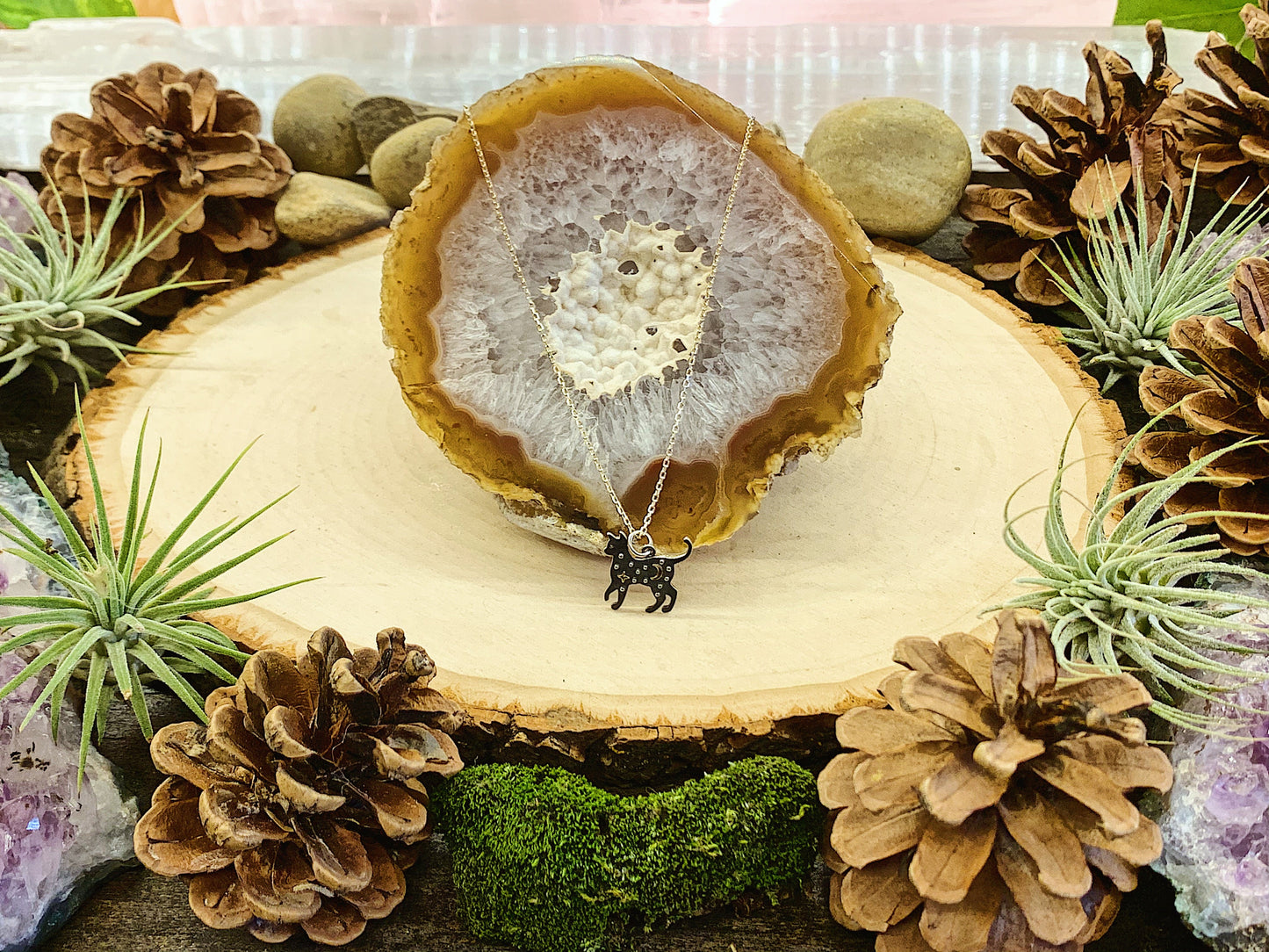 Starry Night Black Cat