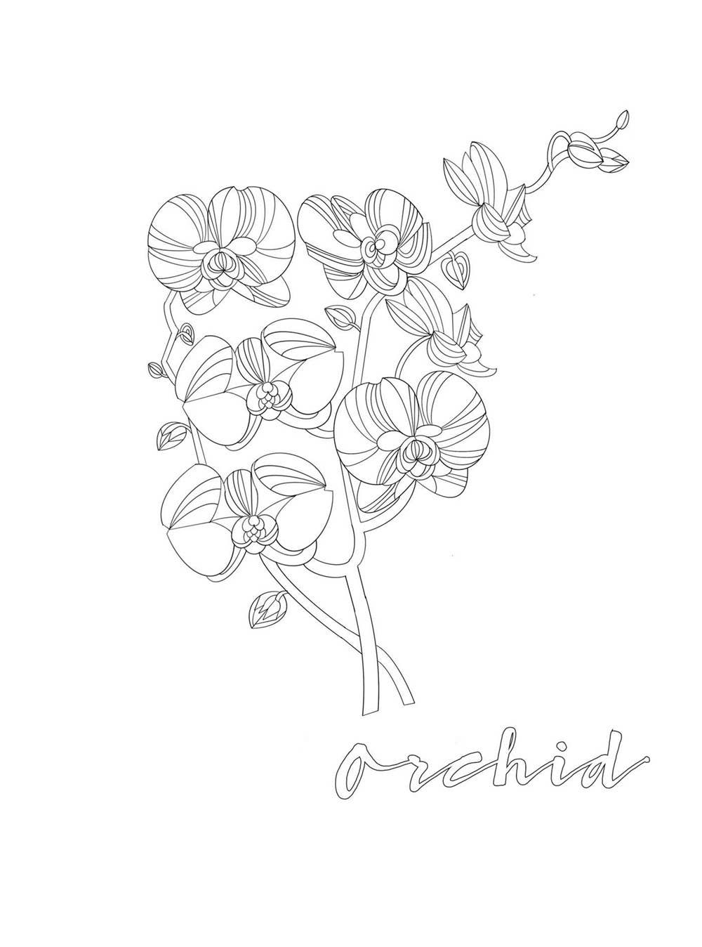 Aquarius Cosmic Coloring Book