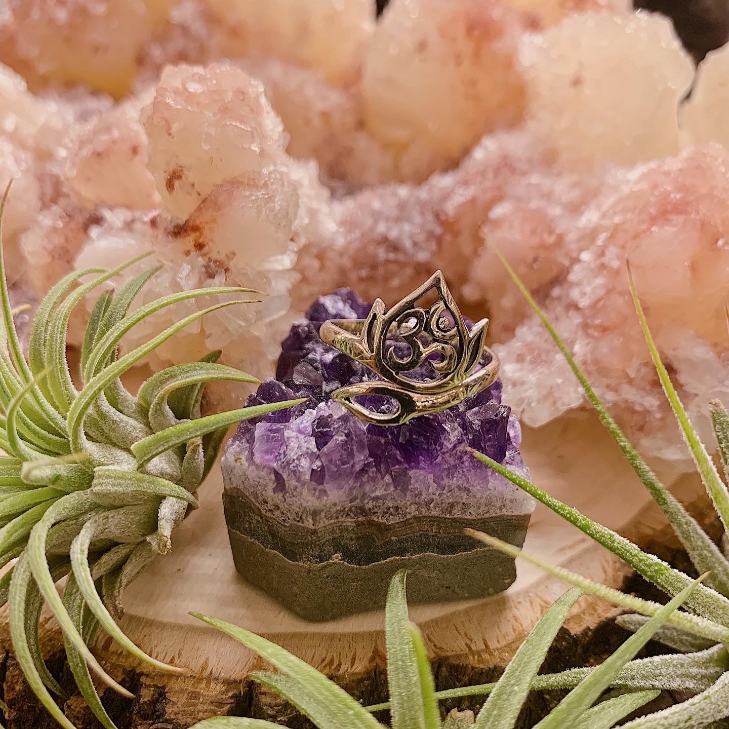 Om in Lotus Ring
