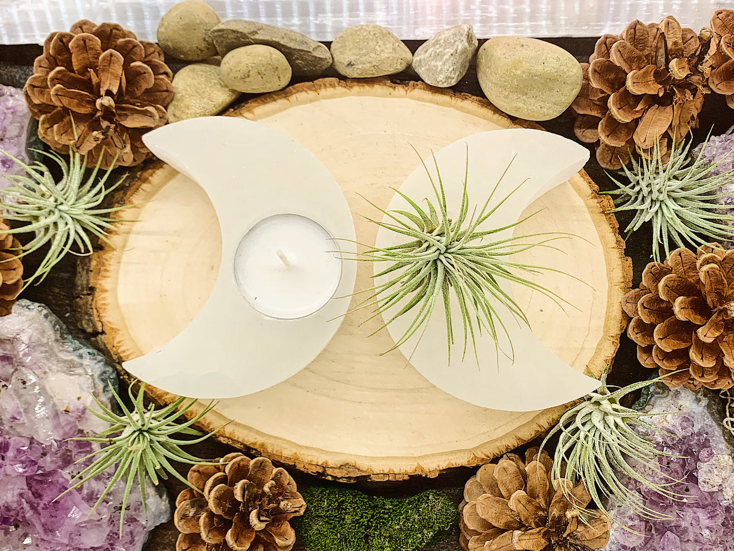 Crescent Moon Selenite Candle or Air Plant Holder