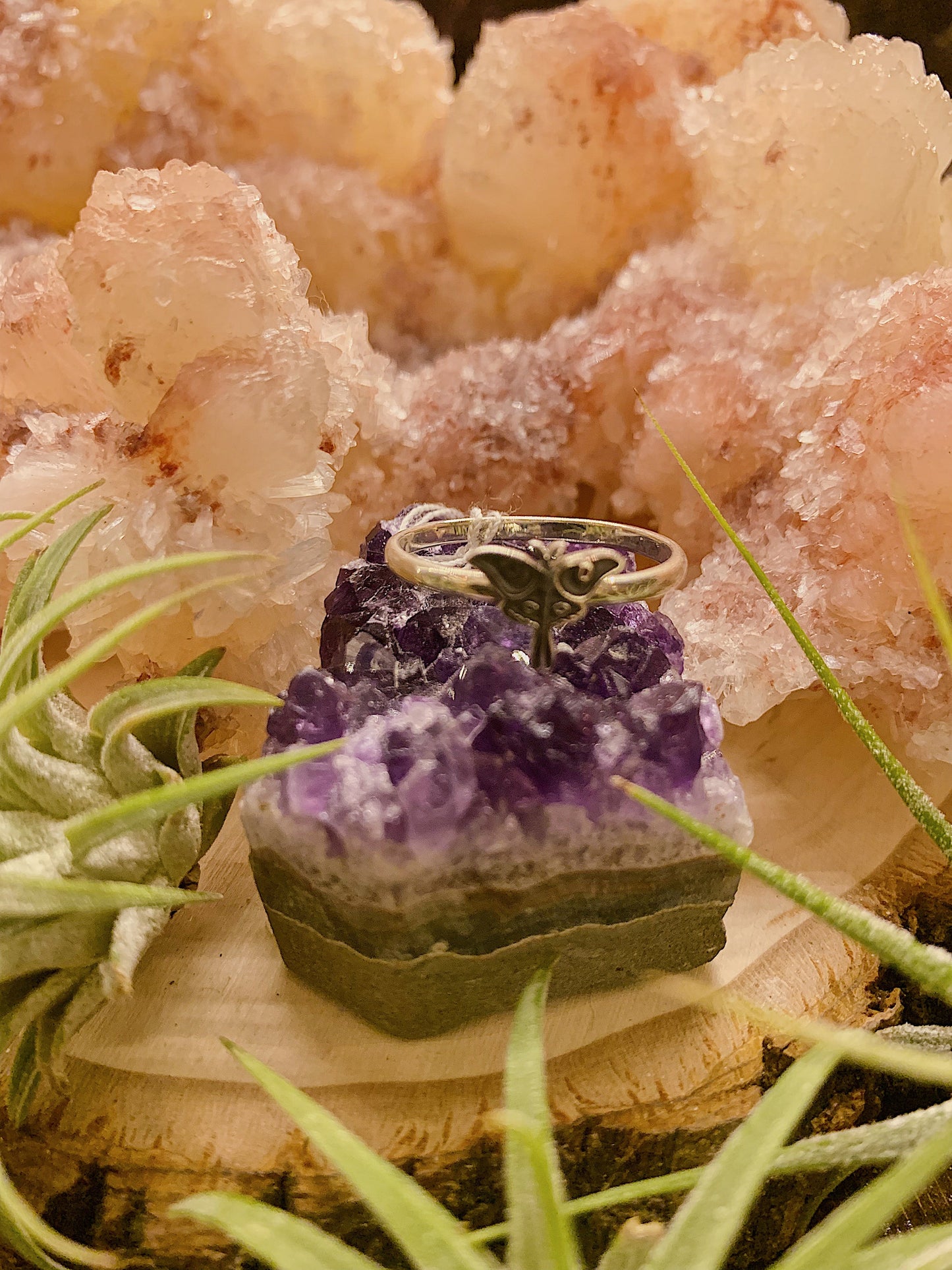 Moth Ring