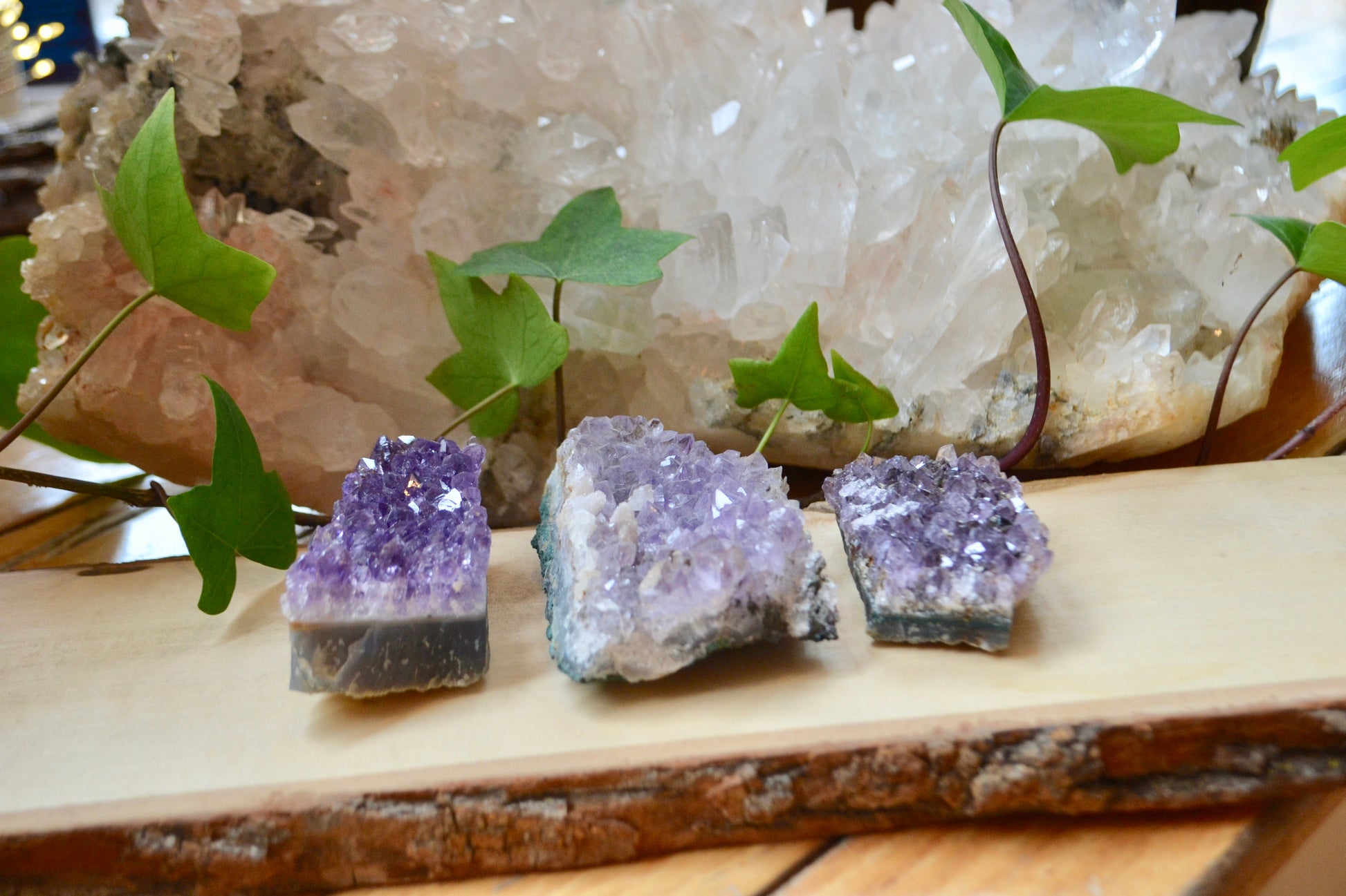 Amethyst cluster