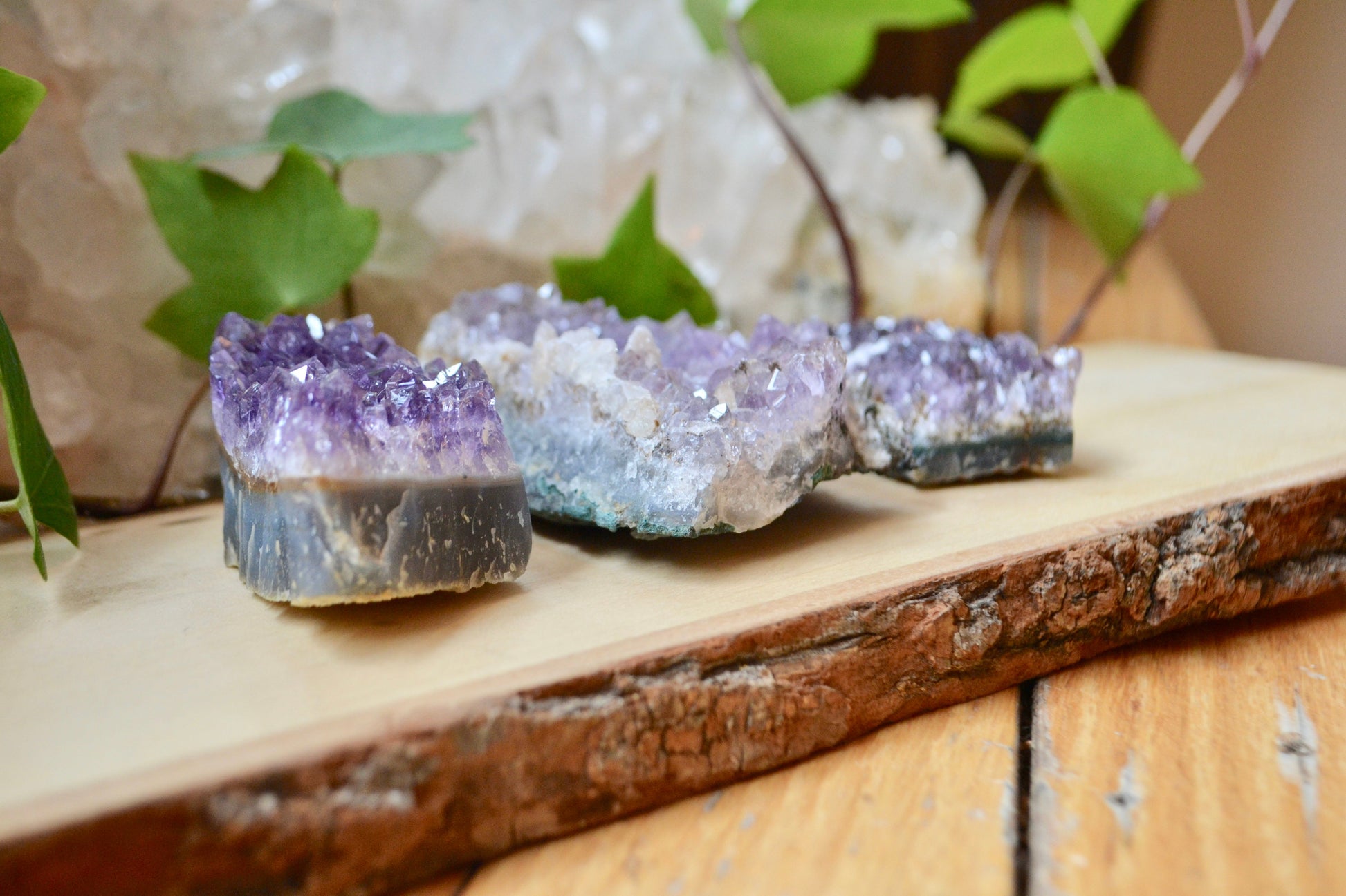 Amethyst cluster
