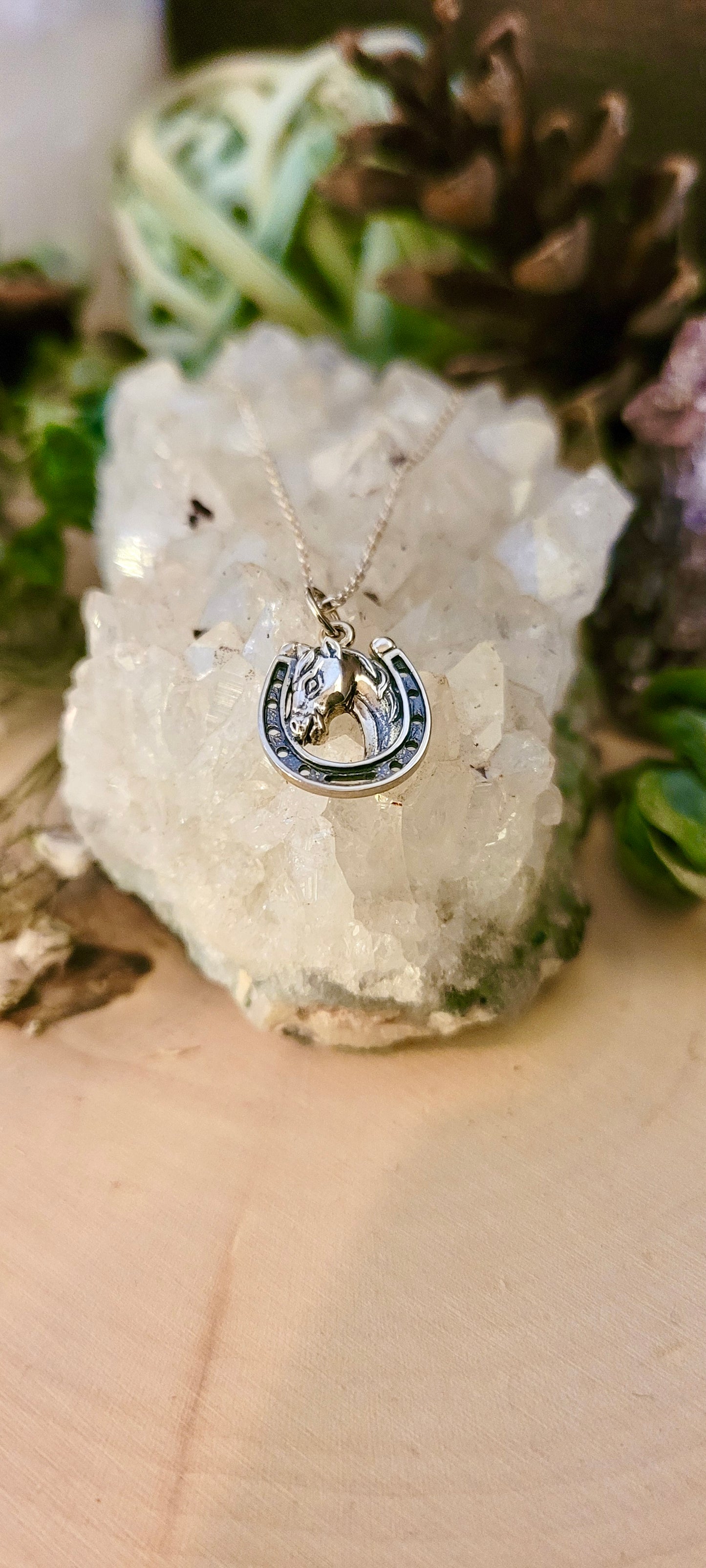 Horse in Horse Shoe Necklace