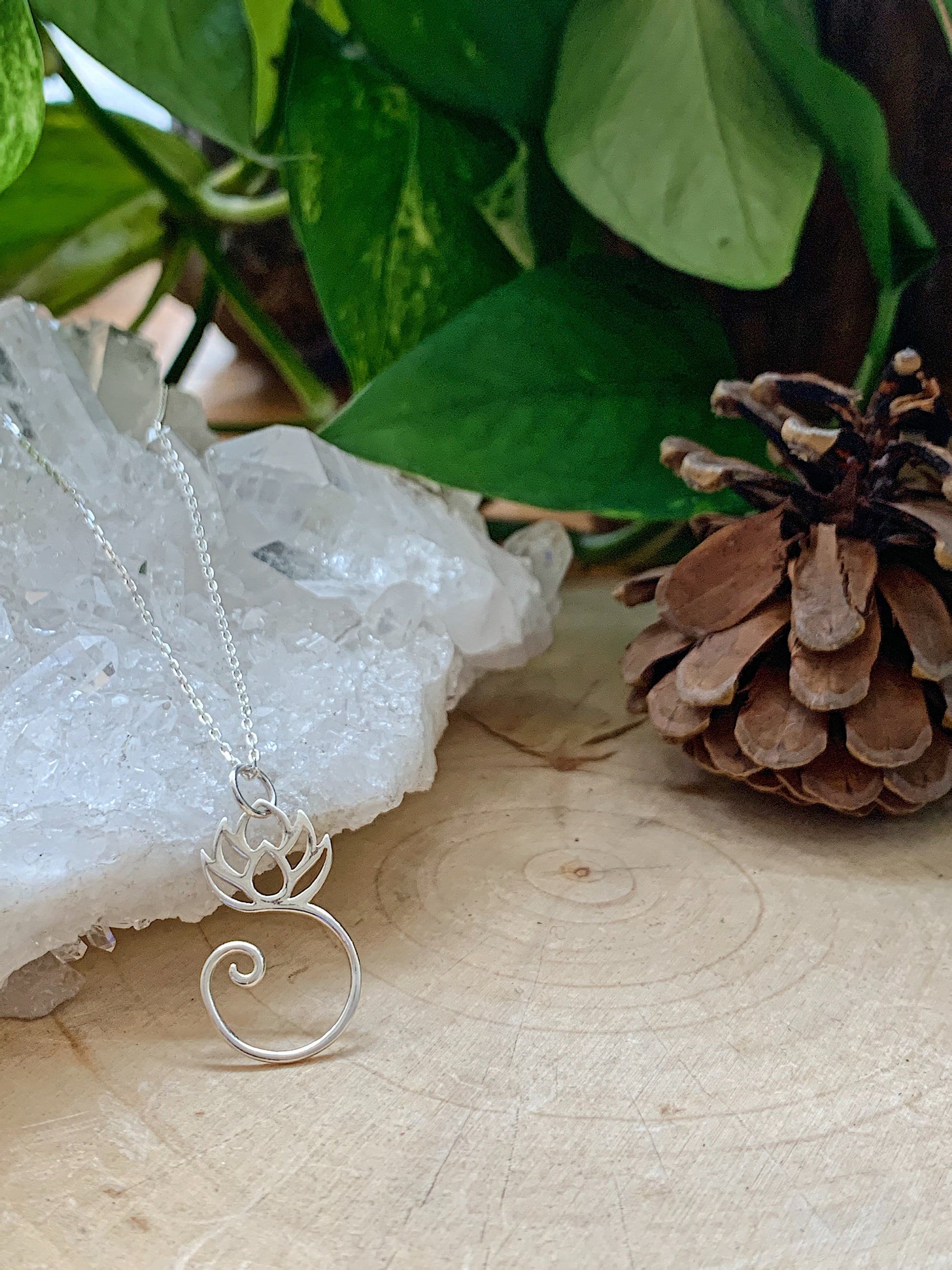 Silver Lotus with root