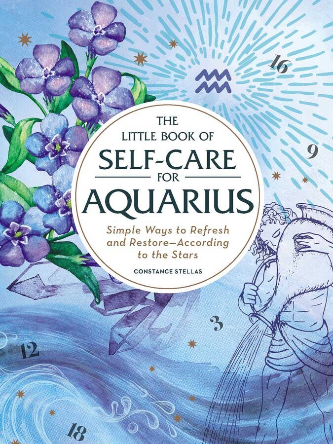 Aquarius Little Book Of Self Care