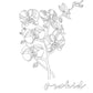 Aquarius Cosmic Coloring Book