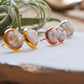 White druzy stud earrings