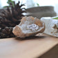 Wild and free necklace