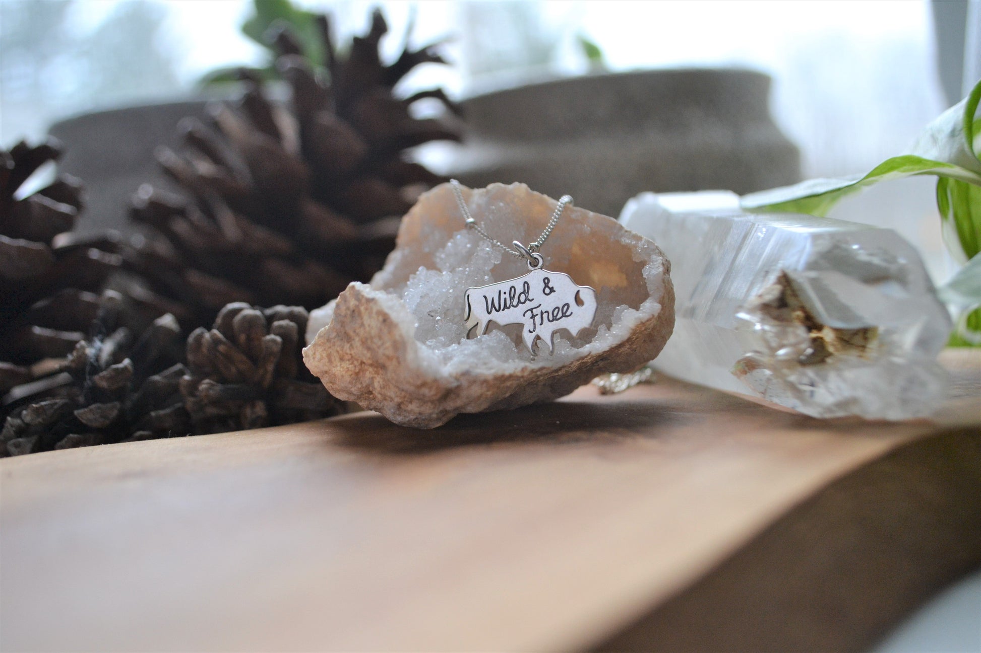 Wild and free necklace