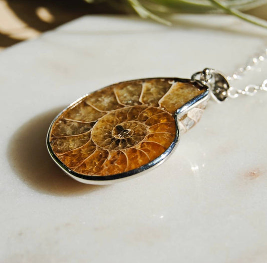 Ammonite Fossil Necklace