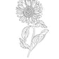 Leo Cosmic Coloring Book