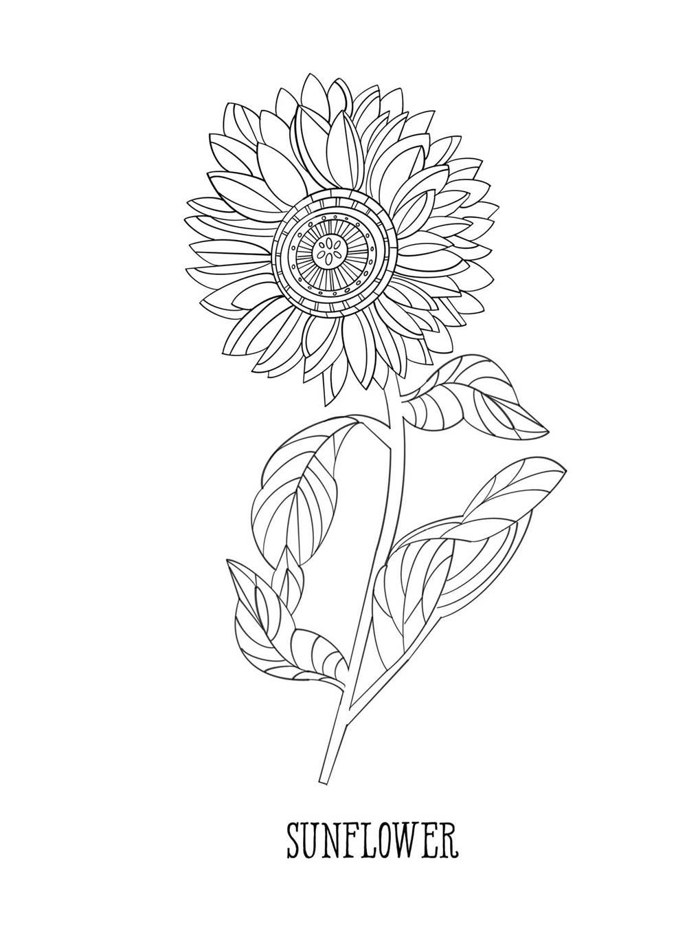 Leo Cosmic Coloring Book