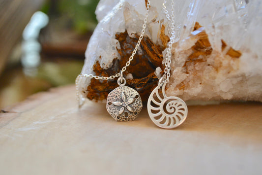 Sand dollar and ammonite necklace